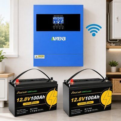 4.2 кВт LiFePO4 Комплект резервного живлення Інвертор Anenji WiFi 24 В + 2 акумулятора 12V 100Ah Foursun 00000001102 фото