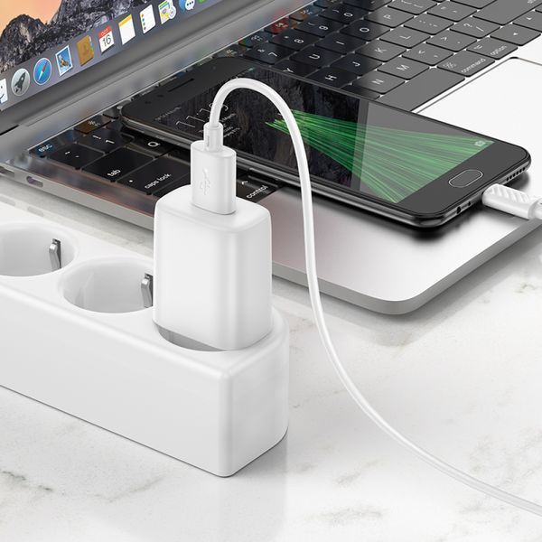 МЗП HOCO C134A Solid single-port charger set 2,4A (Micro) White 00000000818 фото