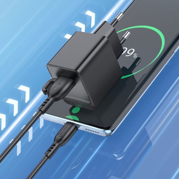 МЗП BOROFONE BAS11A Erudite single port 1USB/2.1A+ Cable Type-C чорний 00000000777 фото